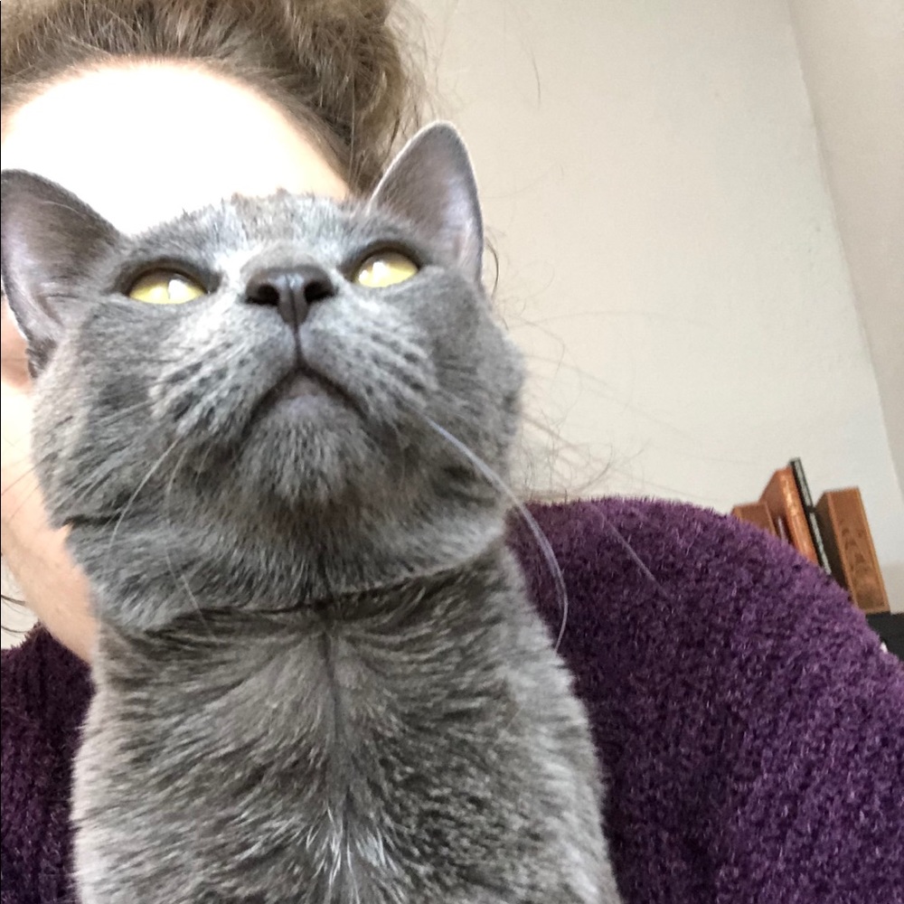 Meet your Posher, Dani